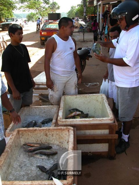 Oapoque
Poissonnier ambulant
Mots-clés: Brsil;Amrique;Amapa;Oapoque