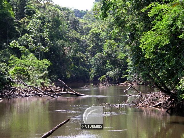 L'Orapu
Mots-clés: Guyane;Amrique;fleuve;rivire;cascade;Orapu;Roura