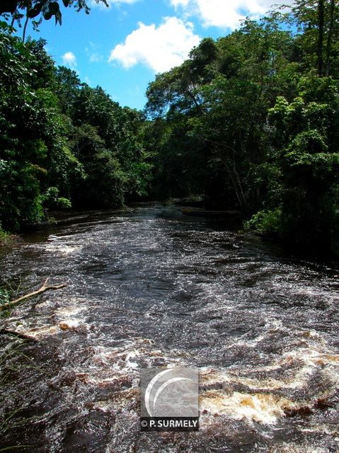 Crique Organabo
Mots-clés: Guyane;Amrique;fleuve;rivire;cascade;Organabo