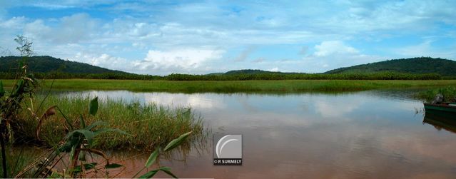 Le Marais de Kaw
Mots-clés: Guyane;Amrique;marais;Kaw