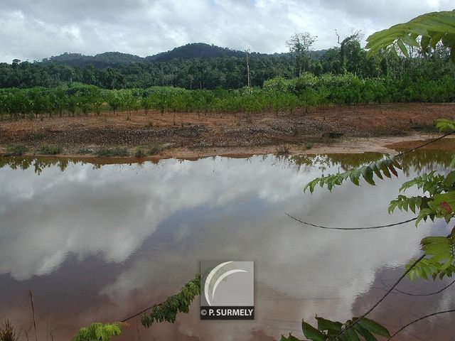 Placer Sainte-Marie
Mots-clés: Guyane;Amrique;fort;piste