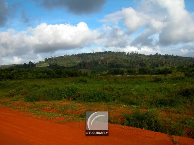 Sur le Plateau K
Mots-clés: Guyane;Amrique;fort;piste;Cacao