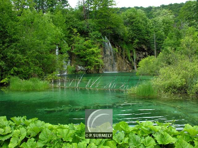 Parc Naturel de Plitvice
Mots-clés: Croatie;Europe;Plitvice;parc naturel