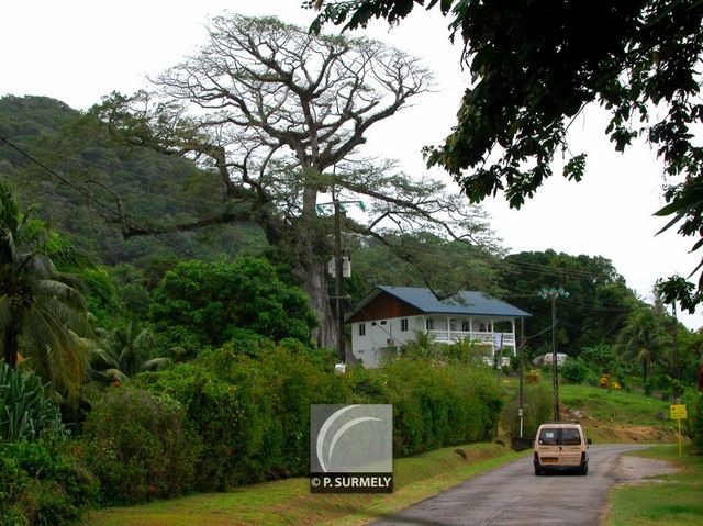 Rmire-Montjoly
Mots-clés: Guyane;Amrique;Rmire-Montjoly