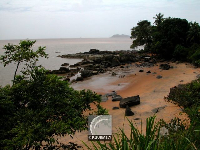 Mots-clés: Guyane;Amrique;ocan;Atlantique;Rmire-Montjoly