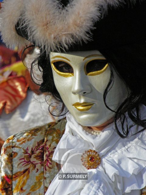 Carnaval
Carnaval vnitien de Remiremont
Mots-clés: France;Vosges;Remiremont;carnaval;festivit;dguisement;masque;portrait