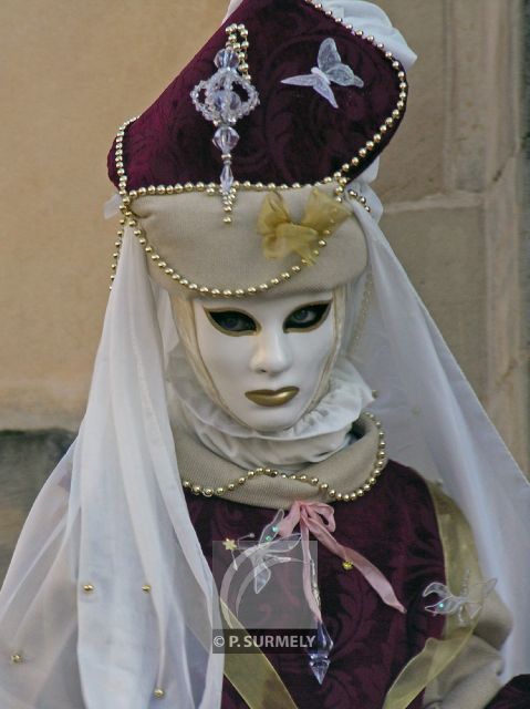 Carnaval
Carnaval vnitien de Remiremont
Mots-clés: France;Vosges;Remiremont;carnaval;festivit;dguisement;masque;portrait