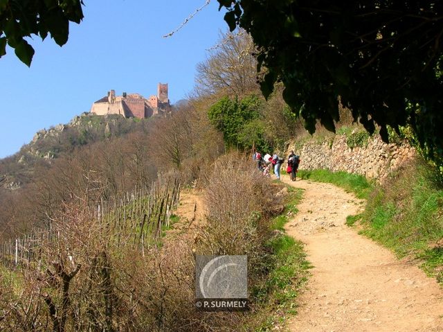 Ribeauvill
Mots-clés: France;Europe;Alsace;Ribeauvill