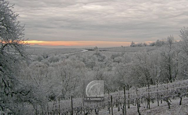 Ribeauvill
          
Mots-clés: France;Europe;Alsace;Ribeauvill