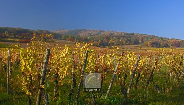 Ribeauvill
          
Mots-clés: France;Europe;Alsace;Ribeauvill