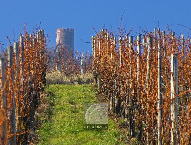 Ribeauvill
Mots-clés: France;Europe;Alsace;Ribeauvill