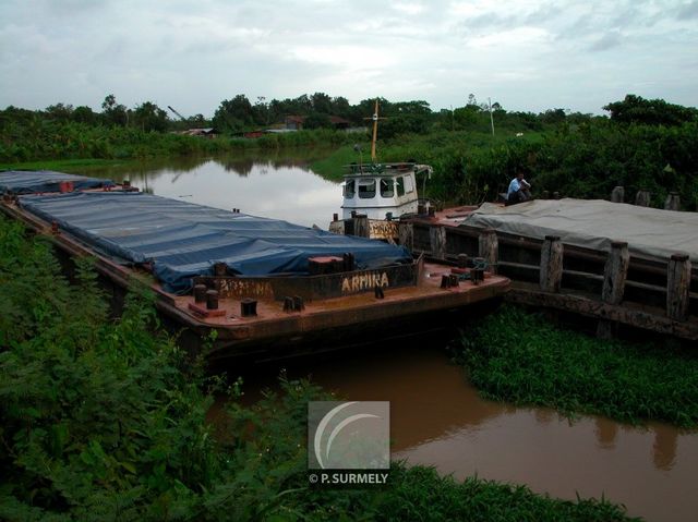 Dans les rizires
Barges
Mots-clés: Suriname;Amrique;Nickerie;riz
