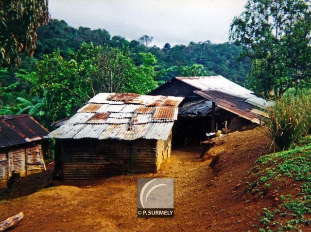 Saint-Elie
Mots-clés: Guyane;Amrique;Saint-Elie