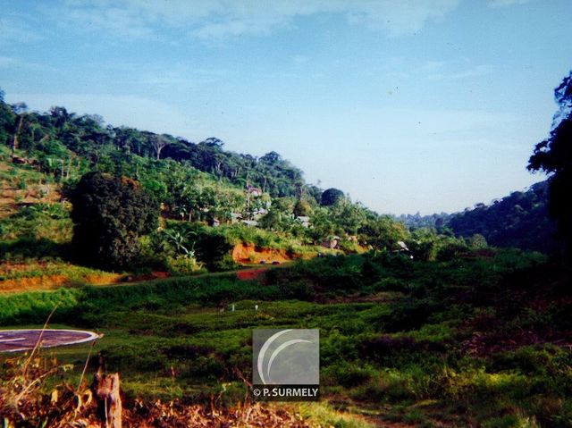 Saint-Elie
Mots-clés: Guyane;Amrique;Saint-Elie