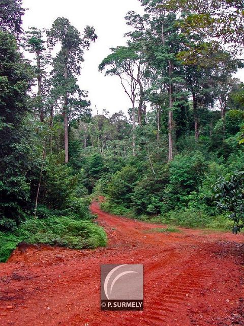 Piste Sainte-Marie
Mots-clés: Guyane;Amrique;fort;piste