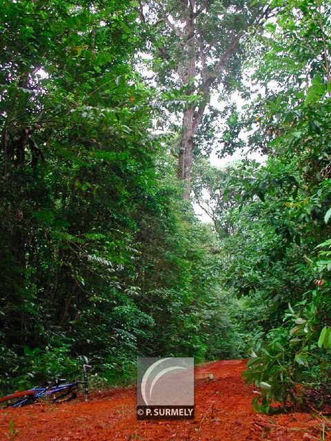 Piste Sainte-Marie
Mots-clés: Guyane;Amrique;fort;piste