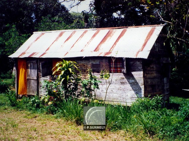 Sal
Mots-clés: Guyane;Amrique;Sal