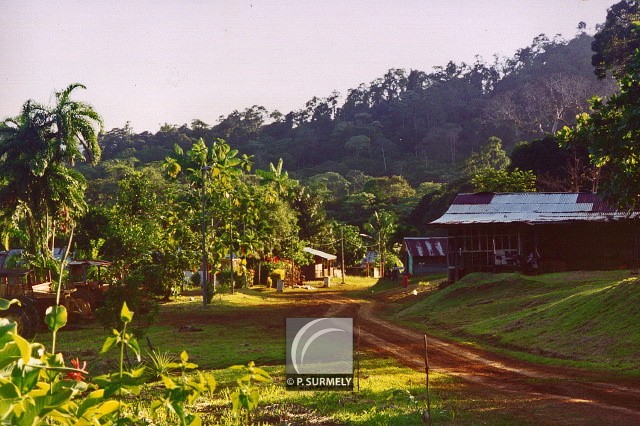 Sal
Mots-clés: Guyane;Amrique;Sal