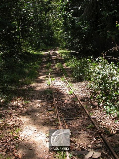 Saut Maripa
Sur l'Oapock
Mots-clés: Guyane;Amrique;fleuve;rivire;cascade;Saut Maripa;Oyapock