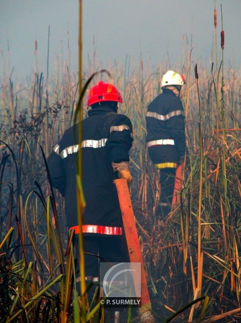 Feu de savane
Kourou
Mots-clés: Guyane;Amrique;tropiques;pompier;SDIS;incendie;feu;secours