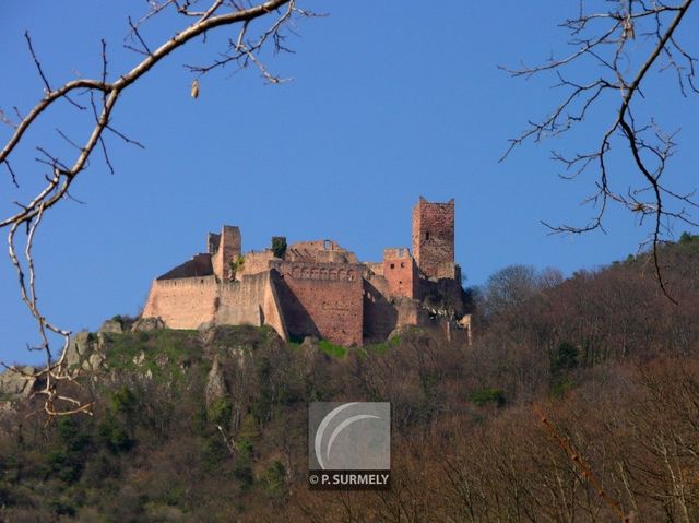 Ribeauvill
Mots-clés: France;Europe;Alsace;Ribeauvill