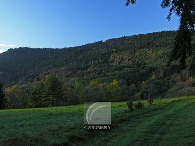 Le Taennchel
Mots-clés: France;Europe;Alsace;Taennchel