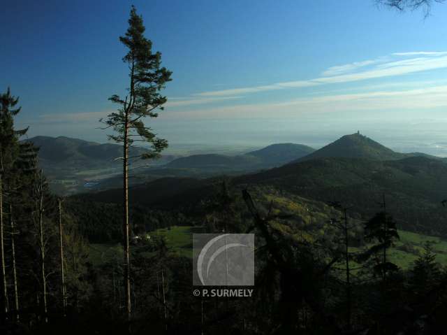 Hautes-Vosges
Vues du Taennchel
Mots-clés: France;Europe;Alsace;Taennchel