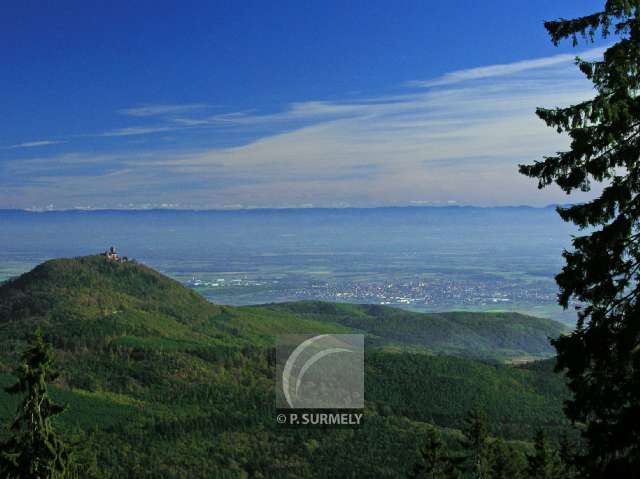 la Plaine d'Alsace
Vue du Taennchel
Mots-clés: France;Europe;Alsace;Taennchel