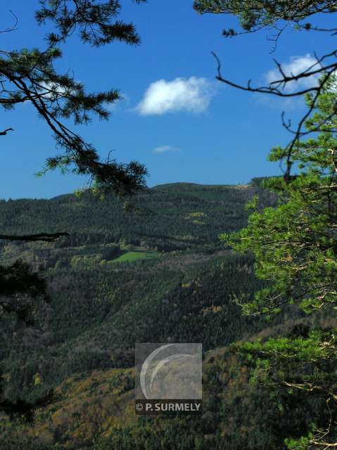 Le Taennchel
Mots-clés: France;Europe;Alsace;Taennchel