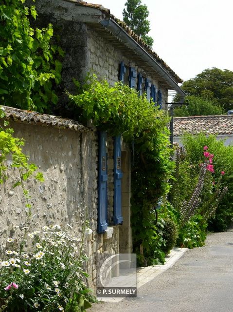 Talmont
Mots-clés: France;Europe;Charente;Talmont