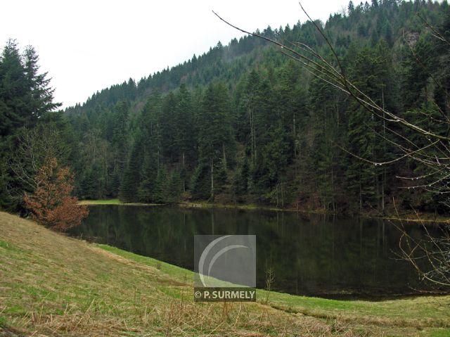 Cascade du Tendon
Mots-clés: France;Europe;Vosges;Tendon