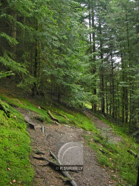 Cascade du Tendon
Mots-clés: France;Europe;Vosges;Tendon