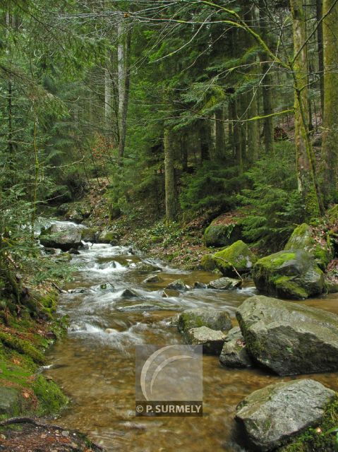 Cascade du Tendon
Mots-clés: France;Europe;Vosges;Tendon