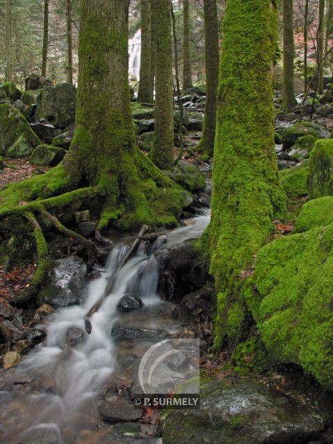 Cascade du Tendon
Mots-clés: France;Europe;Vosges;Tendon