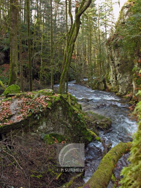 Cascade du Tendon
Mots-clés: France;Europe;Vosges;Tendon