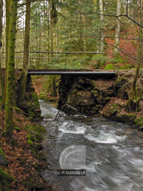 Cascade du Tendon
Mots-clés: France;Europe;Vosges;Tendon