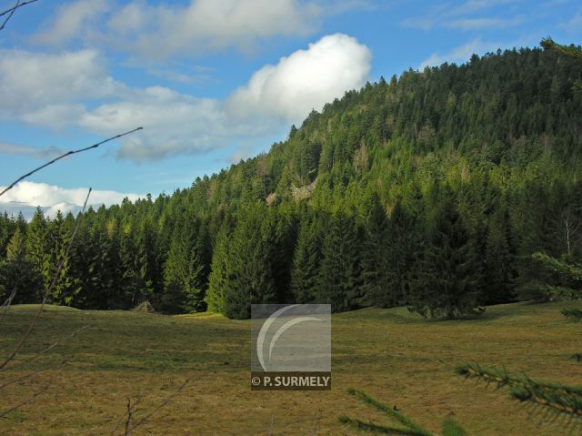 Hautes Vosges
Mots-clés: France;Europe;Vosges