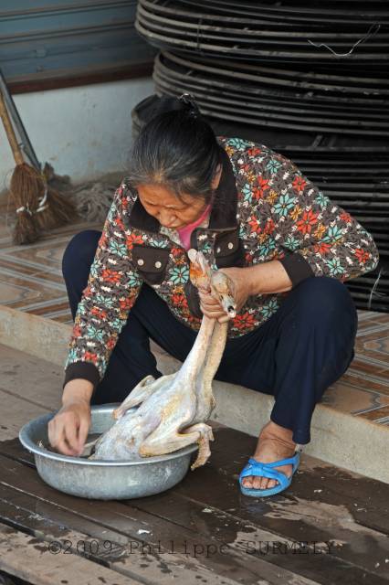 Thakhek
au march
Mots-clés: Laos;Asie;Thakhek;march;portrait