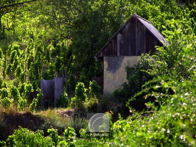 Tokaj
Mots-clés: Hongrie;Europe;Tokaj