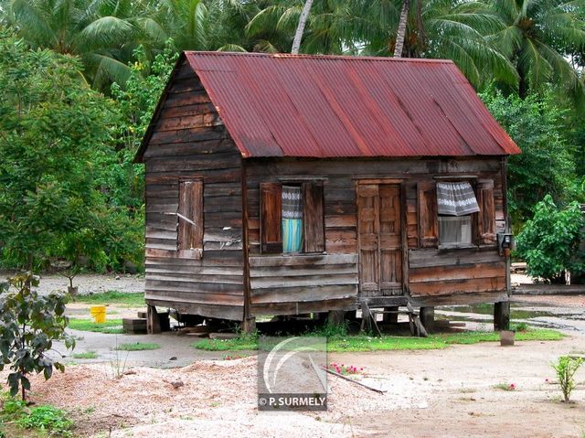 Totness
Mots-clés: Suriname;Amrique;Totness