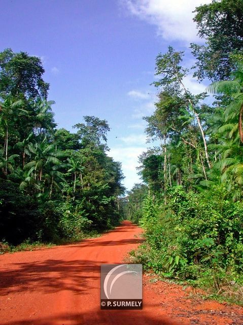 Piste vers Village Favard
Mots-clés: Guyane;Amrique;fort;piste;Favard