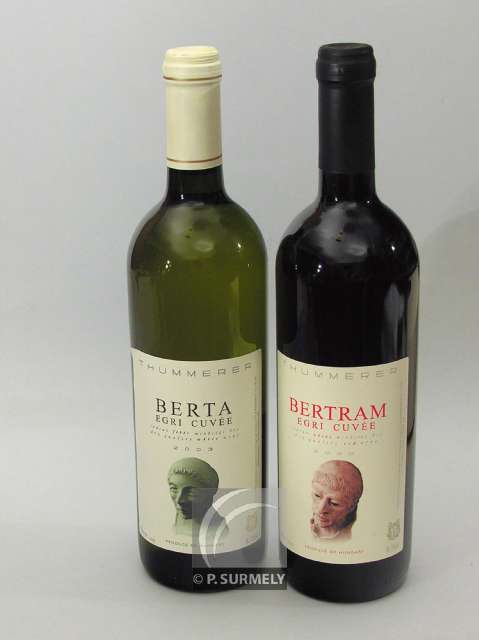 Berta et Bertram
Vins blanc et rouge de Hongrie
Mots-clés: Hongrie;vin;berta;bertram