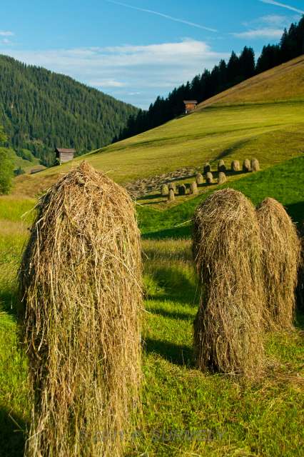 Thierbach : meules de foin
Mots-clés: Europe; Autriche; Tyrol; Wildschoenau