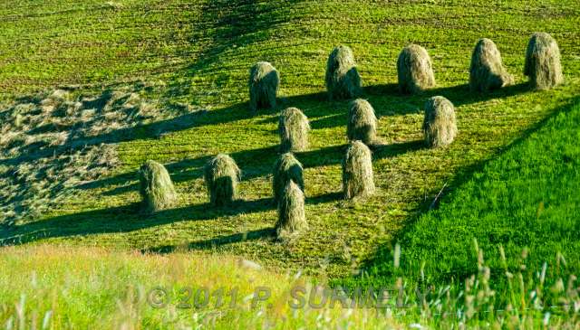 Thierbach : meules de foin
Mots-clés: Europe; Autriche; Tyrol; Wildschoenau