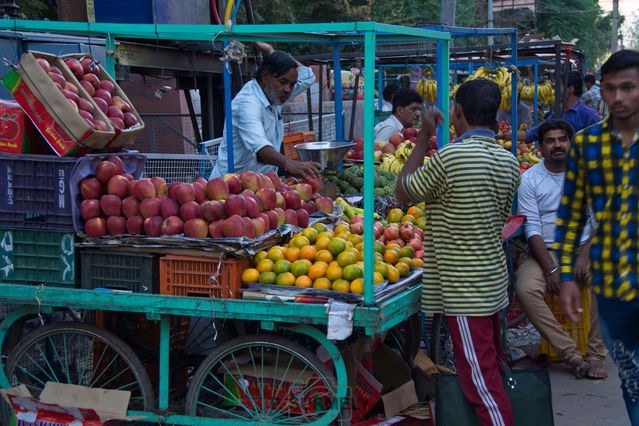 Vendeur de fruits  Bikaner
Mots-clés: Asie;Inde;Rajasthan;Bikaner