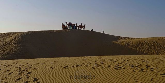 Dans le dsert  l'ouest de Jaisalmer
Mots-clés: Asie;Inde;Rajasthan;Jaisalmer
