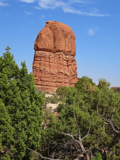 Arches National Park
Mots-clés: Amérique;Amérique du Nord;Etats-Unis;USA;Utah;Arches National Park;parc national