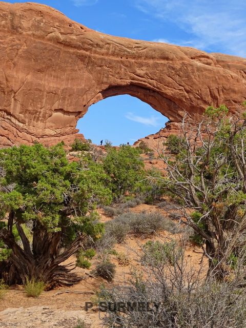 Arches National Park
Mots-clés: Amérique;Amérique du Nord;Etats-Unis;USA;Utah;Arches National Park;parc national