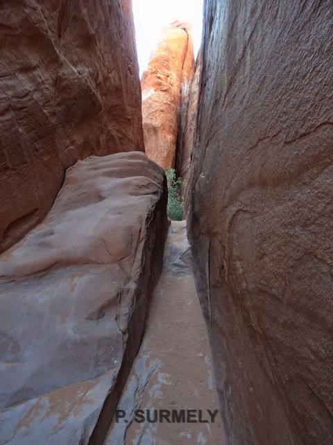 Arches National Park
Mots-clés: Amérique;Amérique du Nord;Etats-Unis;USA;Utah;Arches National Park;parc national