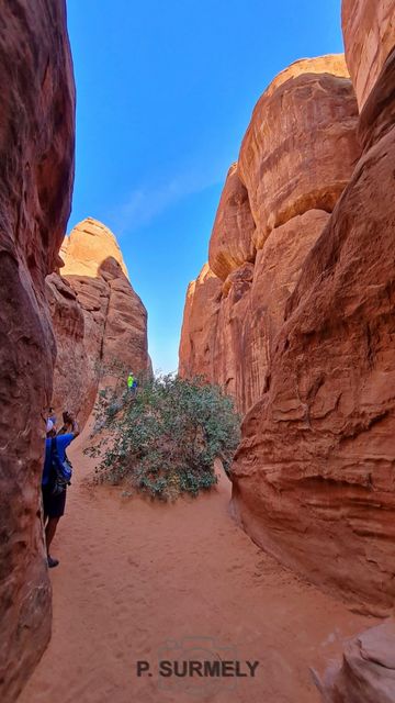 Arches National Park
Mots-clés: Amérique;Amérique du Nord;Etats-Unis;USA;Utah;Arches National Park;parc national